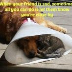 Are you really helping?
